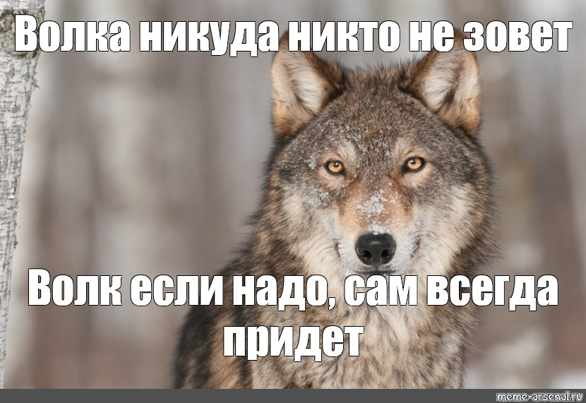 1668843105712.png