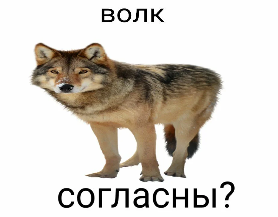 1668931030584.png