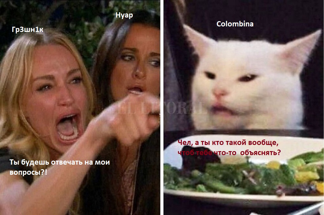 16736938.jpg