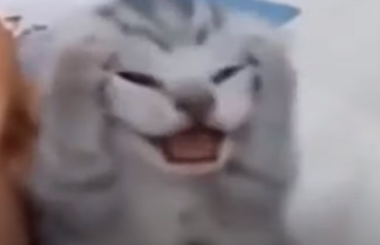 1675671241133.png