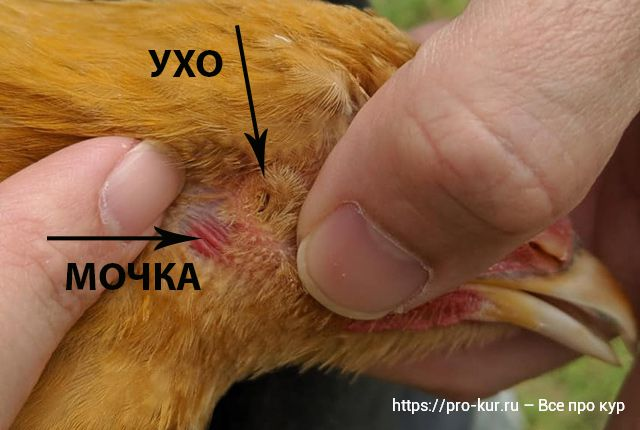 1675676178189.png