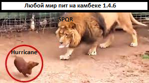 1676407645445.png