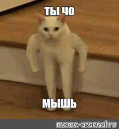 1678704745976.jpeg