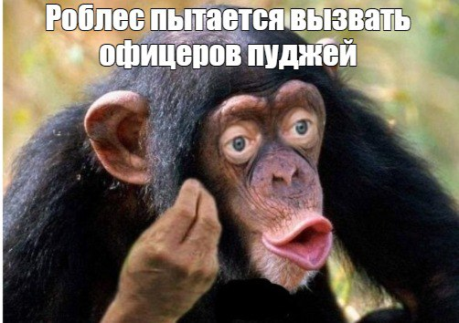 1681453791733.png