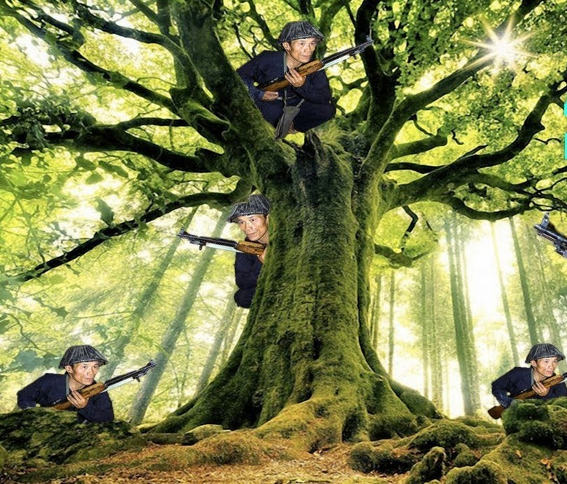 1681455793269.png