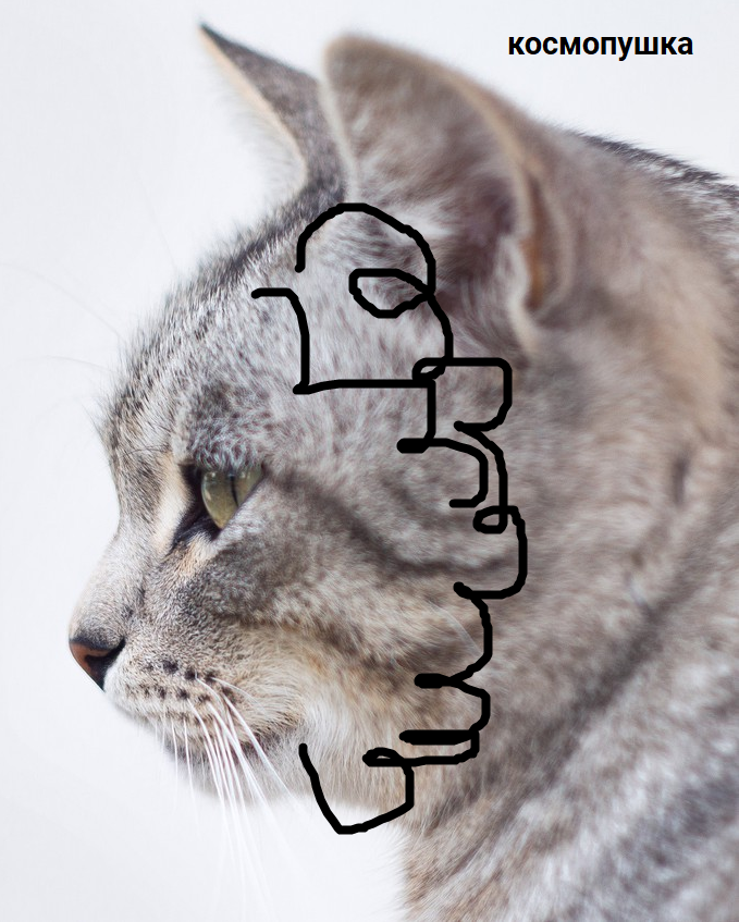 1681997171701.png