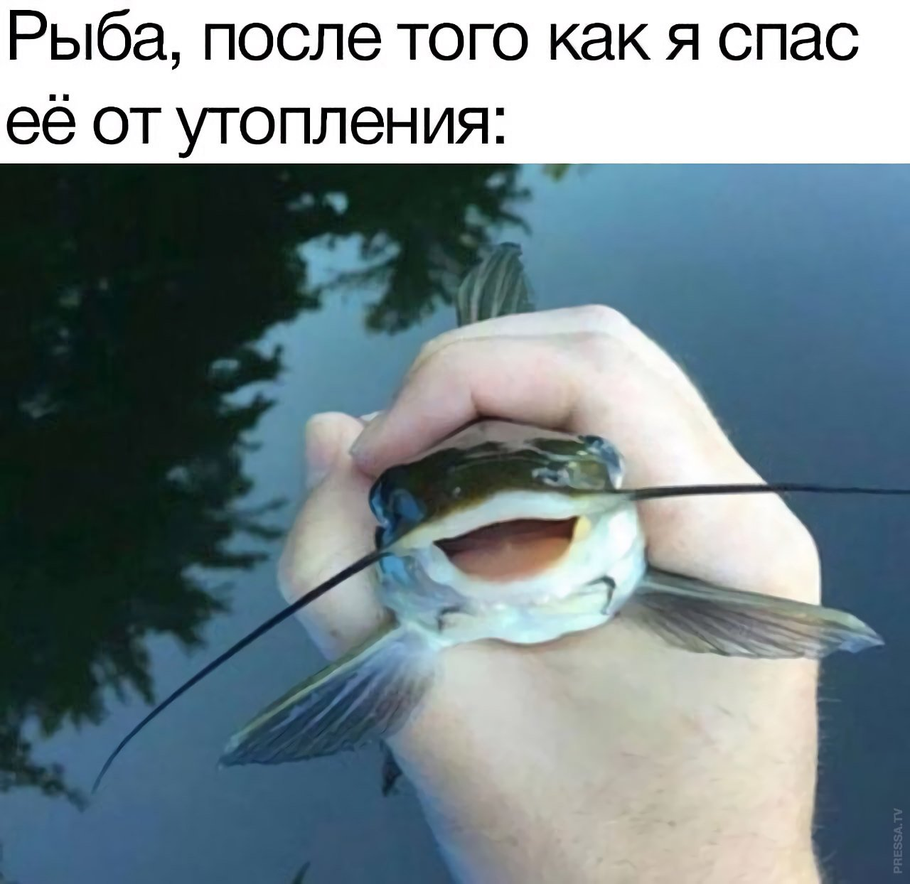1684341564139883919.png