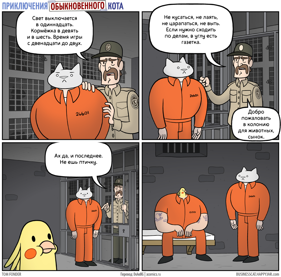 1684489876245.png