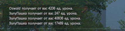 1686148826140.jpeg