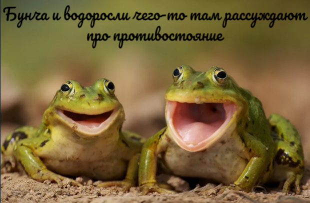 1689027985521.png