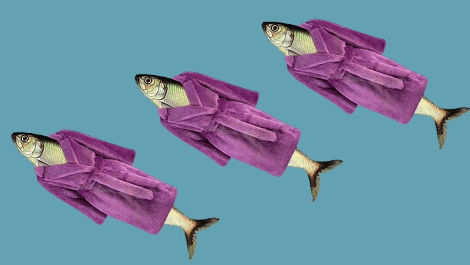 1689598494050.png