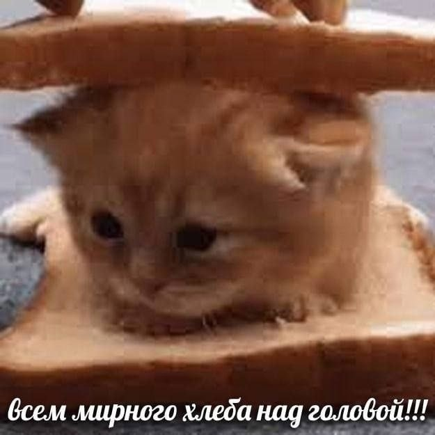 1690168972966.png