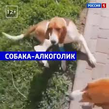 1690560515278.png