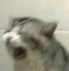 1694165895489.png
