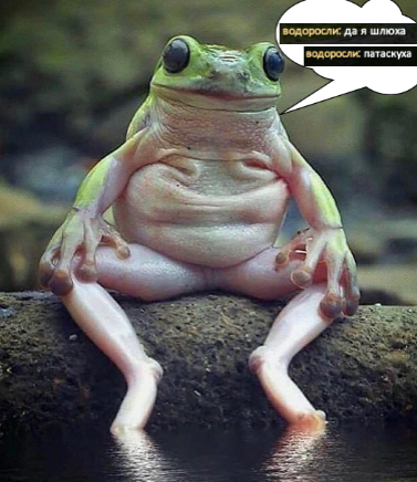 1696459933345.png