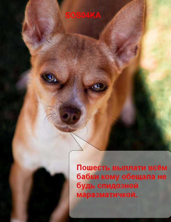 1697322088665.png