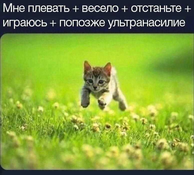 1697345278375.png
