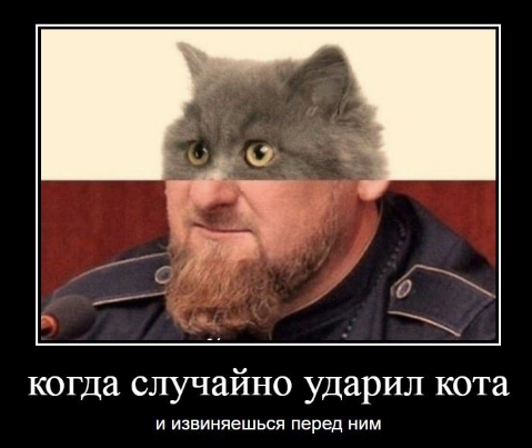 1697629426979.png