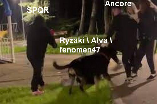 1698420137979.png