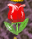 1698521318080.png