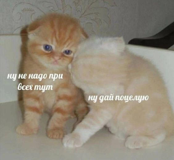 1698649996098.png