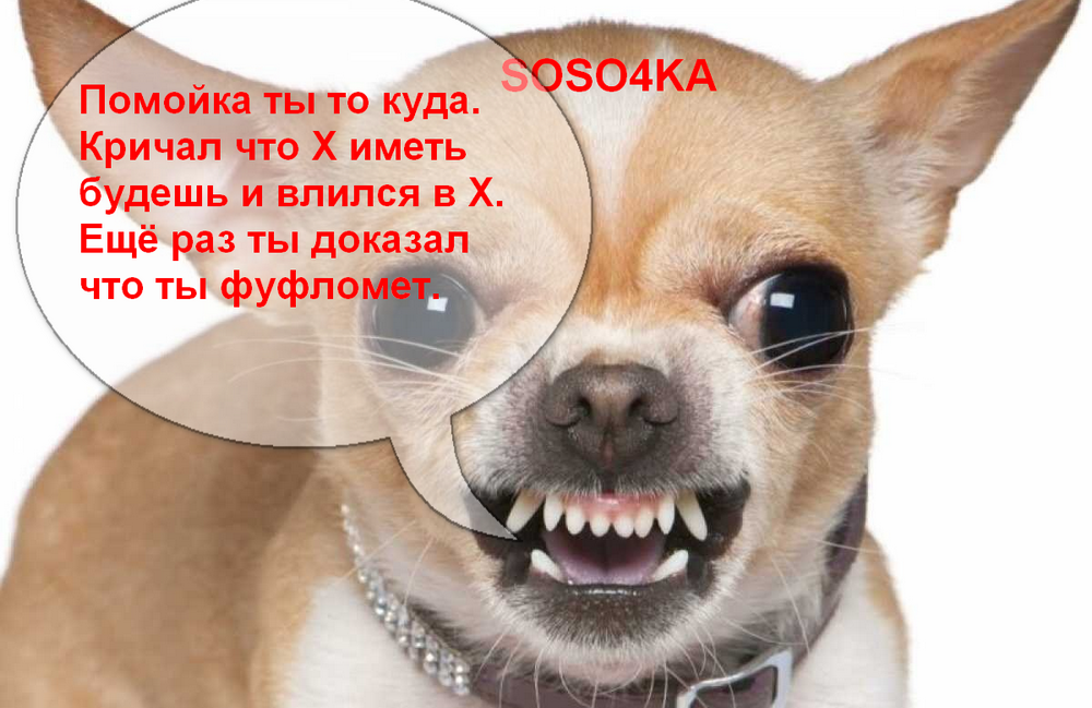 1700258366015.png