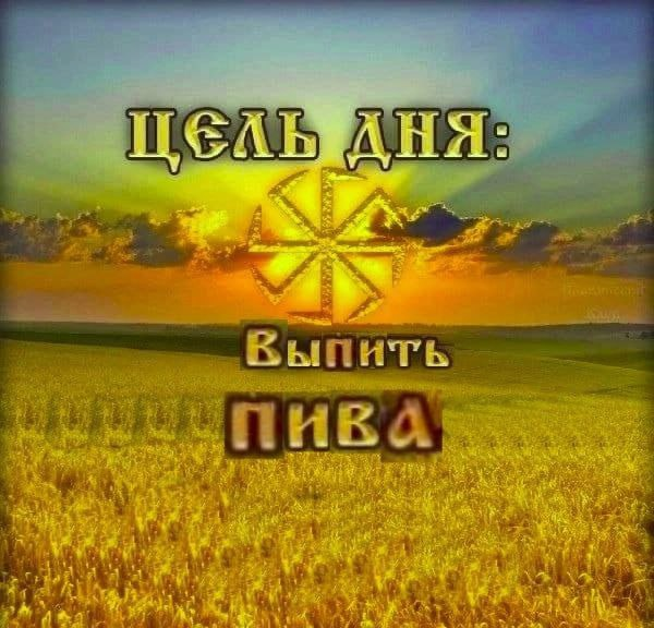1700570537440.png