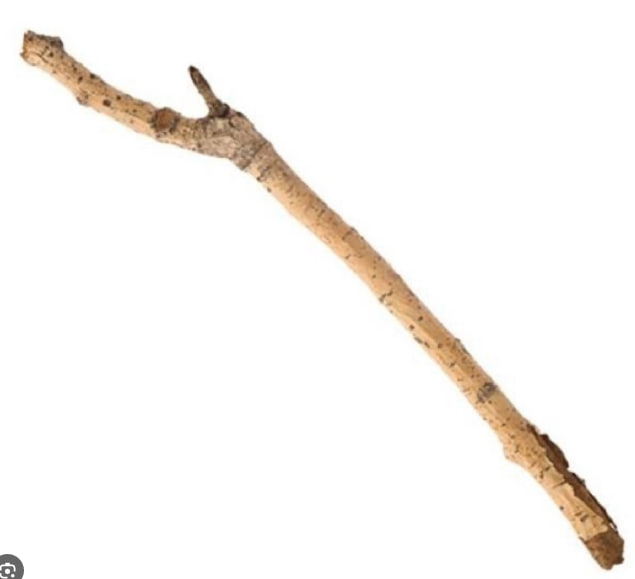1700775201995.png