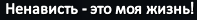 1700942273794.png