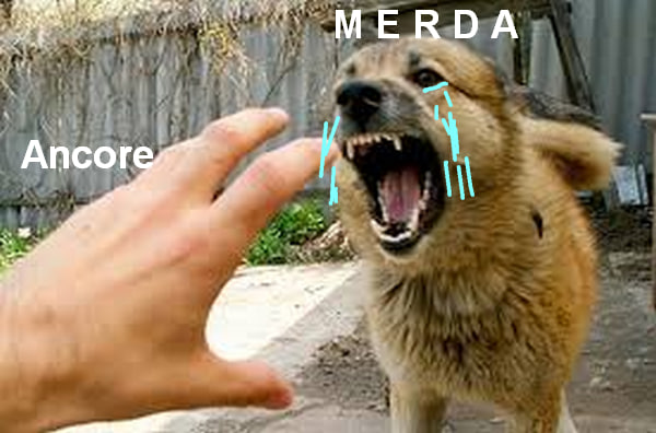 1702303304285.png