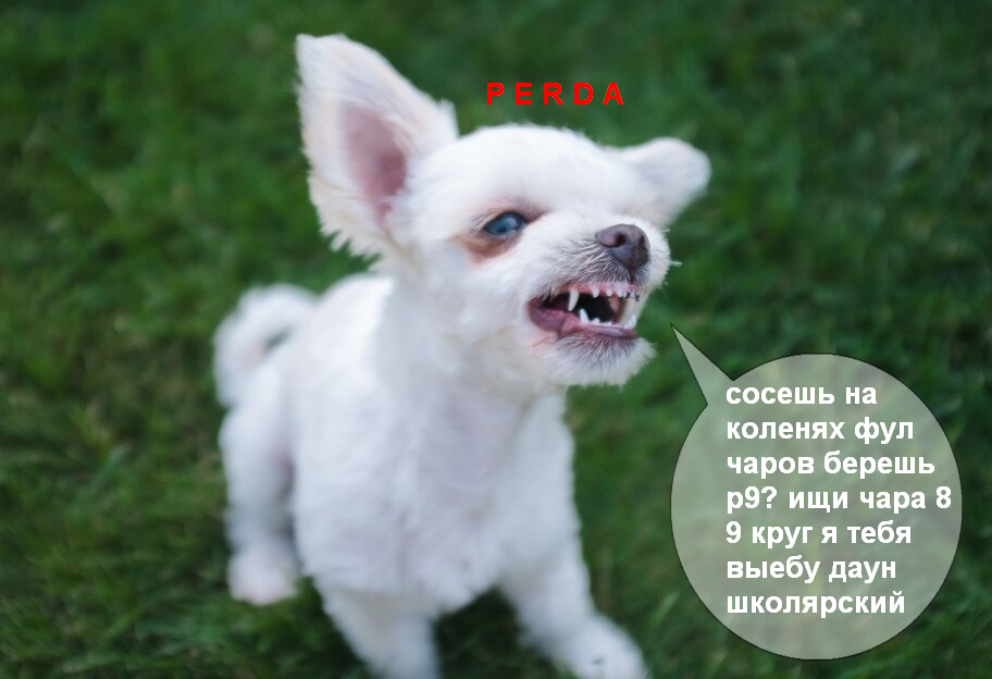 1702305898621.png