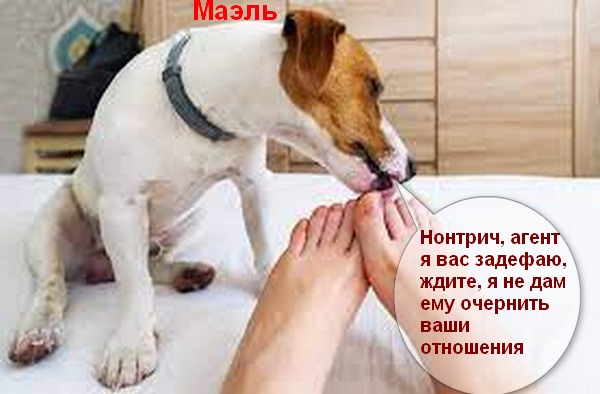 1702345522088.png