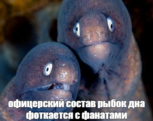 1705331860399.png