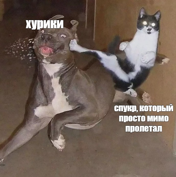 1705337204877.png