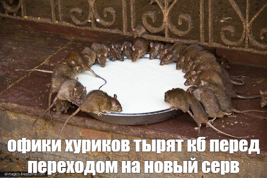 1705401317014.png