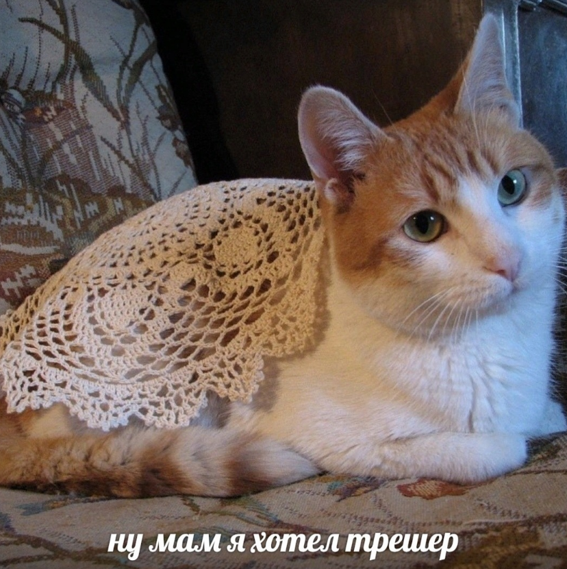 1705573276961.png