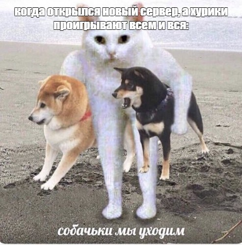 1705578051651.png