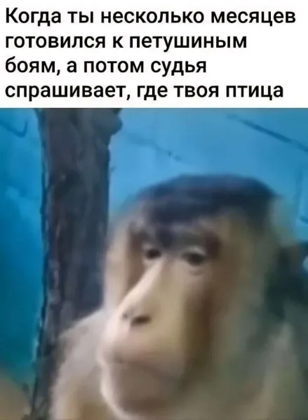 1705608246563.png