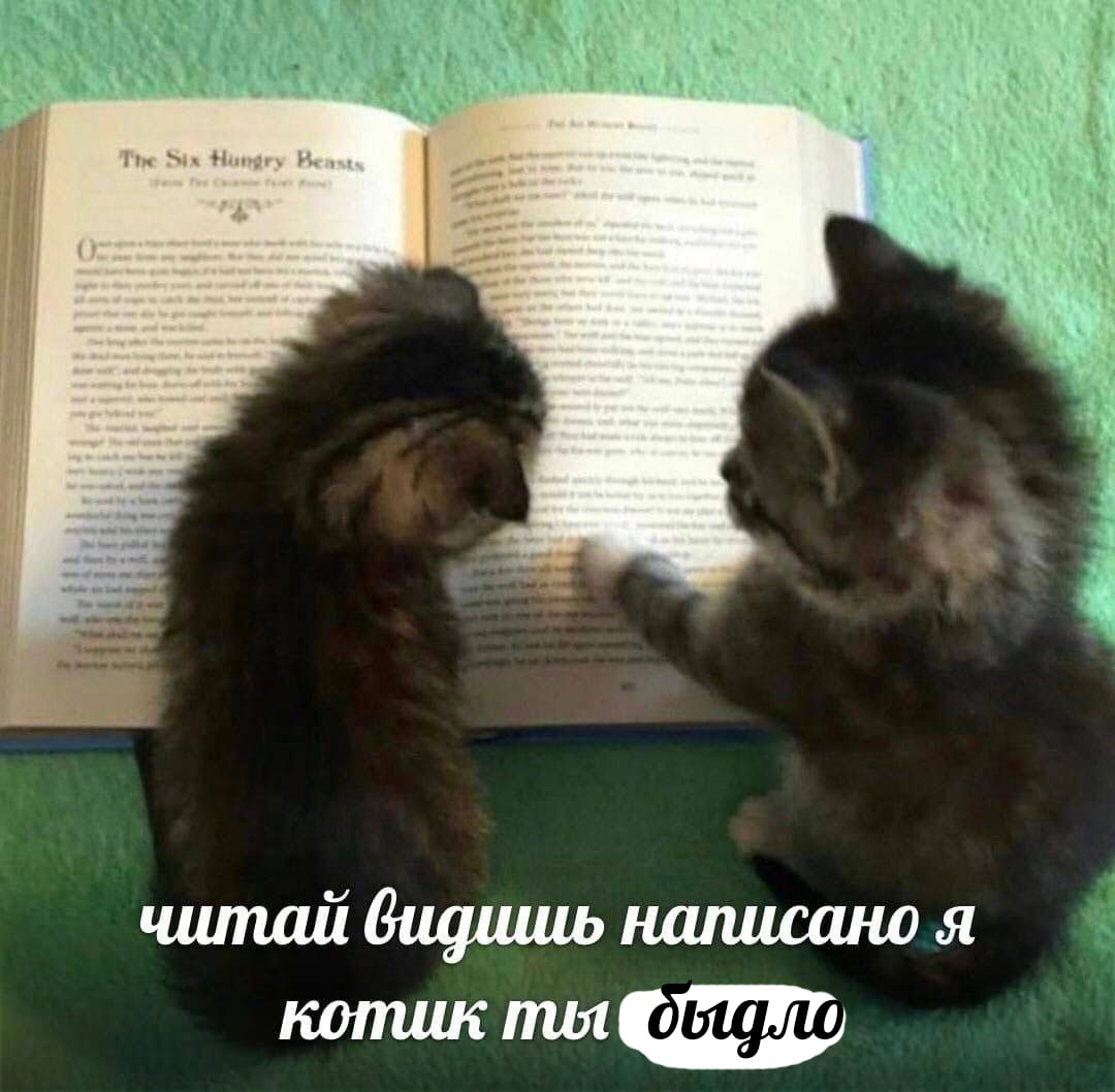 1705662809596.png