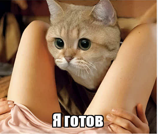 1705935300298.png