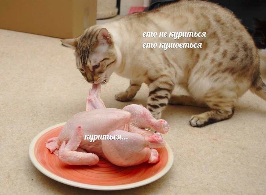1705938921058.png