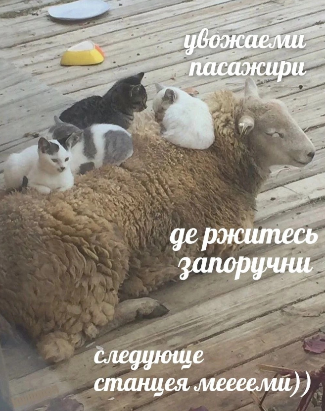 1705999915366.png