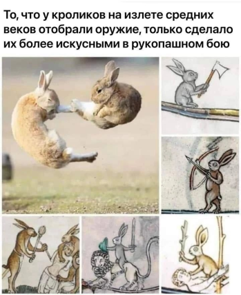 1706036987827.png
