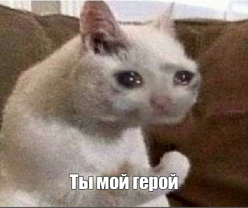 1706085135984.png