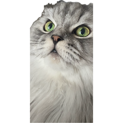 1706212591634.png