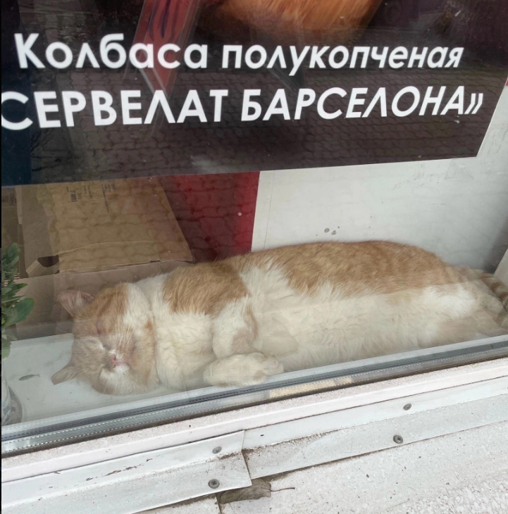 1706246620053.png