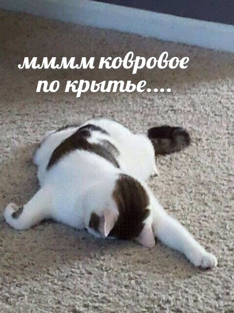 1706309226967.png