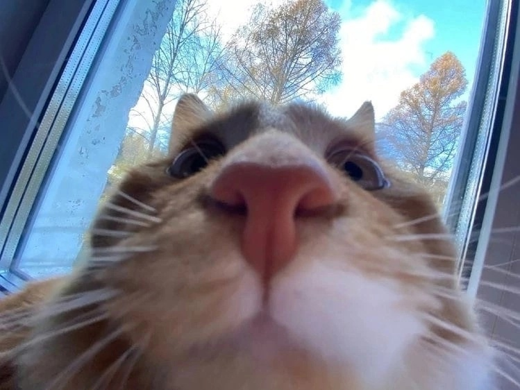 1706389926369.png