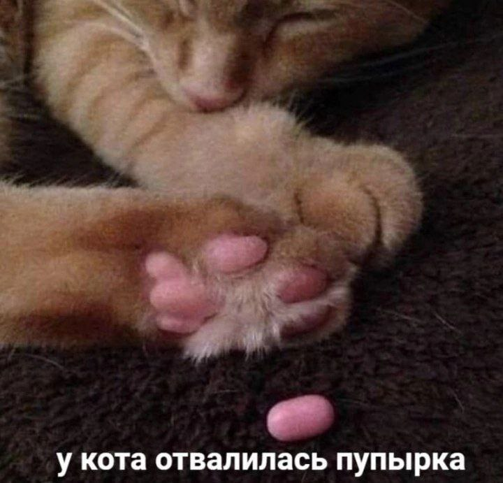 1706637684981.png