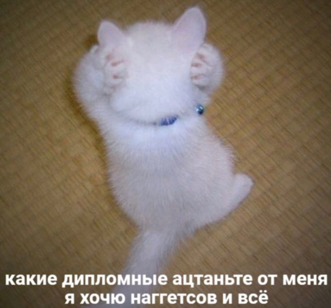 1707911458444.png